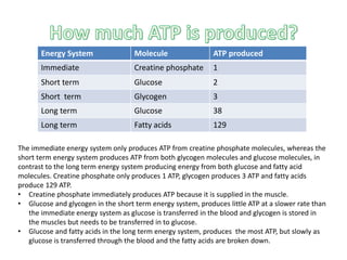 Energy System Molecule ATP produced
Immediate Creatine phosphate 1
Short term Glucose 2
Short term Glycogen 3
Long term Glucose 38
Long term Fatty acids 129
The immediate energy system only produces ATP from creatine phosphate molecules, whereas the
short term energy system produces ATP from both glycogen molecules and glucose molecules, in
contrast to the long term energy system producing energy from both glucose and fatty acid
molecules. Creatine phosphate only produces 1 ATP, glycogen produces 3 ATP and fatty acids
produce 129 ATP.
• Creatine phosphate immediately produces ATP because it is supplied in the muscle.
• Glucose and glycogen in the short term energy system, produces little ATP at a slower rate than
the immediate energy system as glucose is transferred in the blood and glycogen is stored in
the muscles but needs to be transferred in to glucose.
• Glucose and fatty acids in the long term energy system, produces the most ATP, but slowly as
glucose is transferred through the blood and the fatty acids are broken down.
 