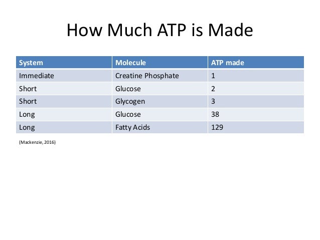 aerobic and atp pc system essay example Transcript of energy systems for btec national sport creatine phosphate energy system (atp - pc) the advantages and disadvantages of the aerobic system. aerobic and atp pc system essay example Transcript of energy systems for btec national sport creatine phosphate energy system (atp - pc) the advantages and disadvantages of the aerobic system.