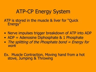 ATP-CP Energy System ATP is stored in the muscle & liver for “Quick Energy” Nerve impulses trigger breakdown of ATP into ADP ADP = Adenosine Diphosphate & 1 Phosphate The splitting of the Phosphate bond = Energy for work Ex.  Muscle Contraction, Moving hand from a hot stove, Jumping & Throwing  