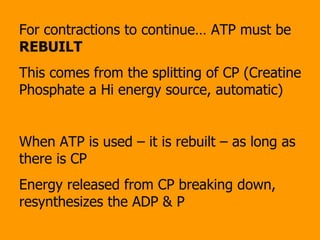 For contractions to continue… ATP must be  REBUILT   This comes from the splitting of CP (Creatine Phosphate a Hi energy source, automatic)  When ATP is used – it is rebuilt – as long as there is CP Energy released from CP breaking down, resynthesizes the ADP & P 