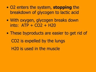 O2 enters the system,  stopping  the breakdown of glycogen to lactic acid  With oxygen, glycogen breaks down into:  ATP + CO2 + H20 These byproducts are easier to get rid of  CO2 is expelled by the lungs H20 is used in the muscle  