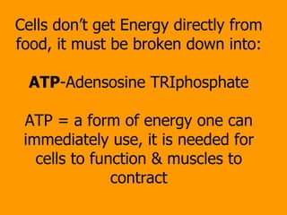 Cells don’t get Energy directly from food, it must be broken down into: ATP -Adensosine TRIphosphate ATP = a form of energy one can immediately use, it is needed for cells to function & muscles to contract 