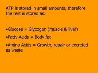 ATP is stored in small amounts, therefore the rest is stored as: Glucose = Glycogen (muscle & liver) Fatty Acids = Body fat Amino Acids = Growth, repair or excreted as waste 