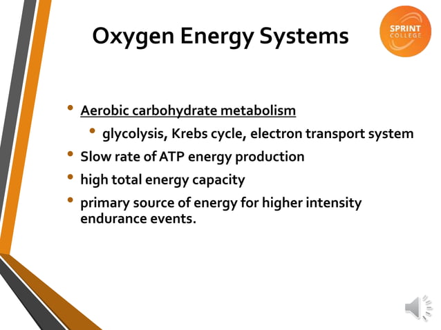 Energy Systems During Exercise | PPTX