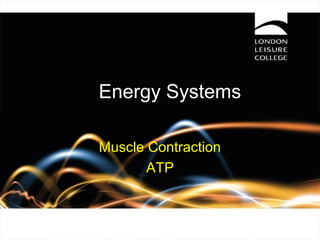 Energy Systems
Muscle Contraction
ATP
 