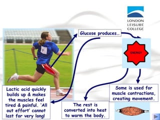 Glucose produces…
Lactic acid quickly
builds up & makes
the muscles feel
tired & painful. ‘All
out effort’ cannot
last for very long!
The rest is
converted into heat
to warm the body.
Some is used for
muscle contractions,
creating movement.
 