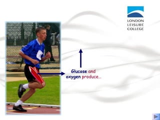 Glucose and
oxygen produce…
 