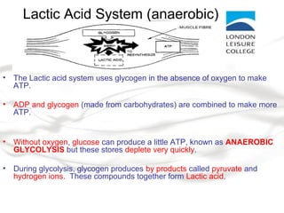 Lactic Acid System (anaerobic)
• The Lactic acid system uses glycogen in the absence of oxygen to make
ATP.
• ADP and glycogen (made from carbohydrates) are combined to make more
ATP.
• Without oxygen, glucose can produce a little ATP, known as ANAEROBIC
GLYCOLYSIS but these stores deplete very quickly.
• During glycolysis, glycogen produces by products called pyruvate and
hydrogen ions. These compounds together form Lactic acid.
 