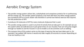 Aerobic Energy System
• The aerobic energy system utilises fats, carbohydrate and sometimes proteins for re-synthesising
ATP for energy use. The aerobic system produces a lot more ATP than any other energy systems
but it produces ATP at a much slower rate therefore it cannot fuel intense exercise that requires
the fast production of ATP.
• It produces 34 molecules of ATP for every molecule of glucose that is used.
• The aerobic energy system is used in any kind of activity that we take part in, for example we use
this system when we walk because it puts great stress on our muscles if we can not pump oxygen
through our bodies to aid the muscles in use to enable us to do activities such as walking.
• The recovery time of this system varies on the type of exercise that we have taken part in, for
example if we walked 100 metres it would only take roughly 20 seconds to recover depending on
if we are healthy or not.
http://www.ptdirect.com/training-design/anatomy-and-physiology/the-aerobic-system
 