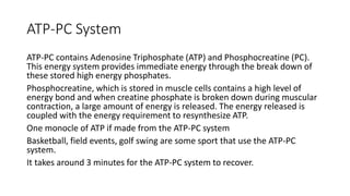 ATP-PC System
ATP-PC contains Adenosine Triphosphate (ATP) and Phosphocreatine (PC).
This energy system provides immediate energy through the break down of
these stored high energy phosphates.
Phosphocreatine, which is stored in muscle cells contains a high level of
energy bond and when creatine phosphate is broken down during muscular
contraction, a large amount of energy is released. The energy released is
coupled with the energy requirement to resynthesize ATP.
One monocle of ATP if made from the ATP-PC system
Basketball, field events, golf swing are some sport that use the ATP-PC
system.
It takes around 3 minutes for the ATP-PC system to recover.
 