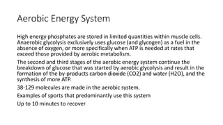 Aerobic Energy System
High energy phosphates are stored in limited quantities within muscle cells.
Anaerobic glycolysis exclusively uses glucose (and glycogen) as a fuel in the
absence of oxygen, or more specifically when ATP is needed at rates that
exceed those provided by aerobic metabolism.
The second and third stages of the aerobic energy system continue the
breakdown of glucose that was started by aerobic glycolysis and result in the
formation of the by-products carbon dioxide (CO2) and water (H2O), and the
synthesis of more ATP.
38-129 molecules are made in the aerobic system.
Examples of sports that predominantly use this system
Up to 10 minutes to recover
 