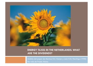 ENERGY TAXES IN THE NETHERLANDS: WHAT
ARE THE DIVIDENDS?
Análisis del paper de Marinus H.C. Komen y Jack H.M. Peerlings (1998)
Por Iván de Prado Alonso
 
