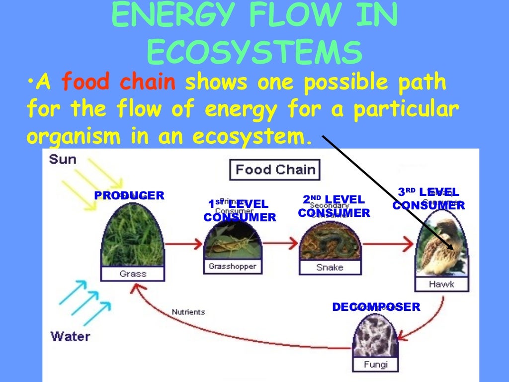 Energy transfer[1]