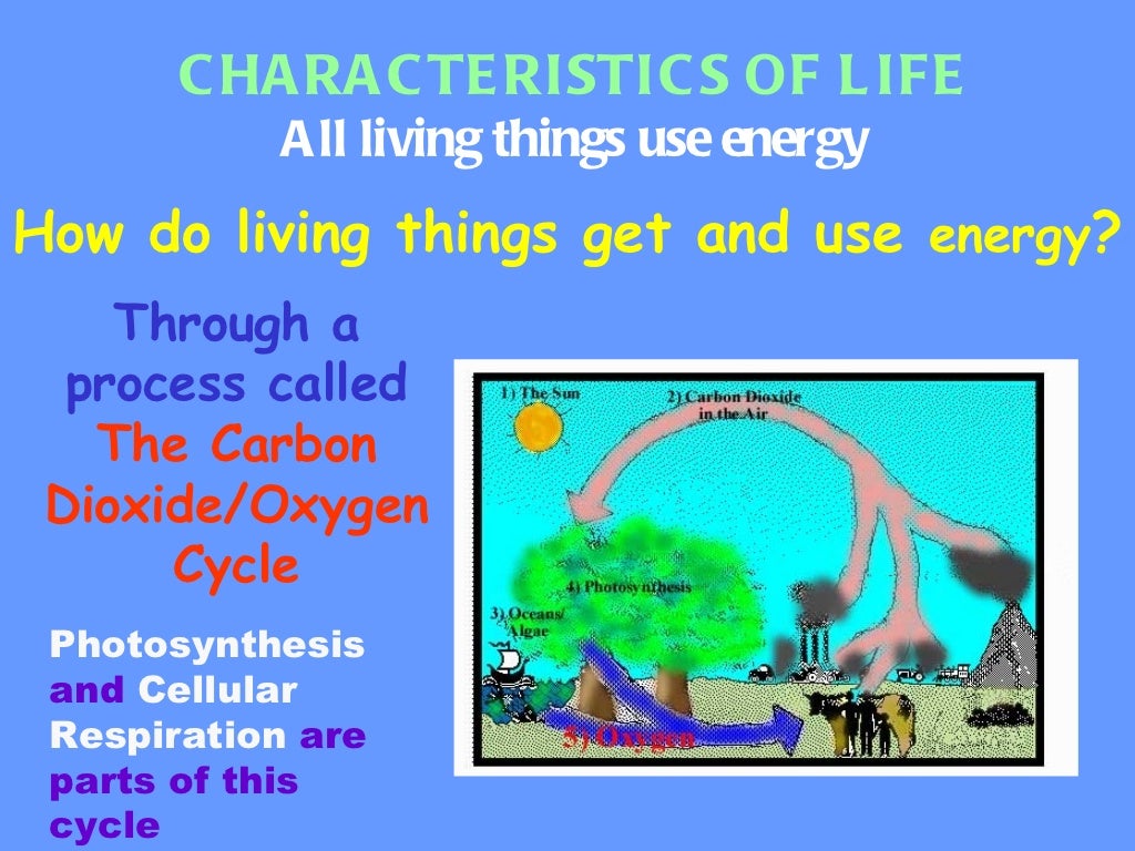 Energy source quotes. Potential or kinetic energy. Uses energy. Using energy has been. Increased energy.