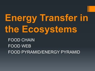 Energy Transfer in
the Ecosystems
FOOD CHAIN
FOOD WEB
FOOD PYRAMID/ENERGY PYRAMID
 