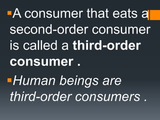 A consumer that eats a
 second-order consumer
 is called a third-order
 consumer .
Human beings are
 third-order consumers .
 