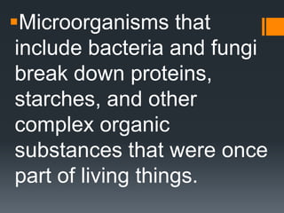 Microorganisms that
 include bacteria and fungi
 break down proteins,
 starches, and other
 complex organic
 substances that were once
 part of living things.
 
