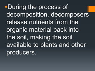 During the process of
 decomposition, decomposers
 release nutrients from the
 organic material back into
 the soil, making the soil
 available to plants and other
 producers.
 