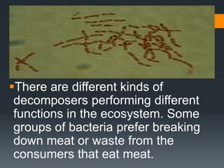 There are different kinds of
 decomposers performing different
 functions in the ecosystem. Some
 groups of bacteria prefer breaking
 down meat or waste from the
 consumers that eat meat.
 