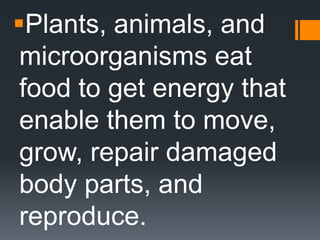 Plants, animals, and
 microorganisms eat
 food to get energy that
 enable them to move,
 grow, repair damaged
 body parts, and
 reproduce.
 