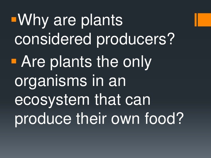 Why do plants produce their own food?