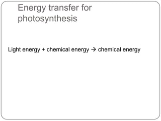 Energy transfer for
photosynthesis
Light energy + chemical energy  chemical energy
 