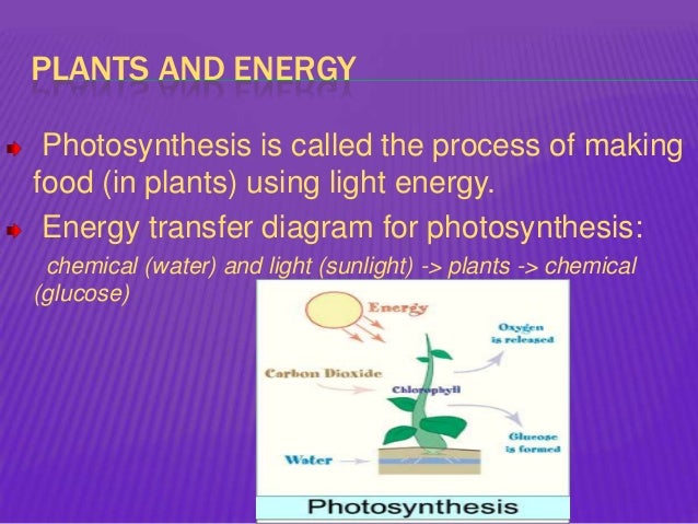 Photosynthesis Sankey Diagram Choice Image - How To Guide 