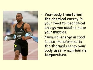 • Your body transforms
the chemical energy in
your food to mechanical
energy you need to move
your muscles.
• Chemical energy in food
is also transformed to
the thermal energy your
body uses to maintain its
temperature.
 