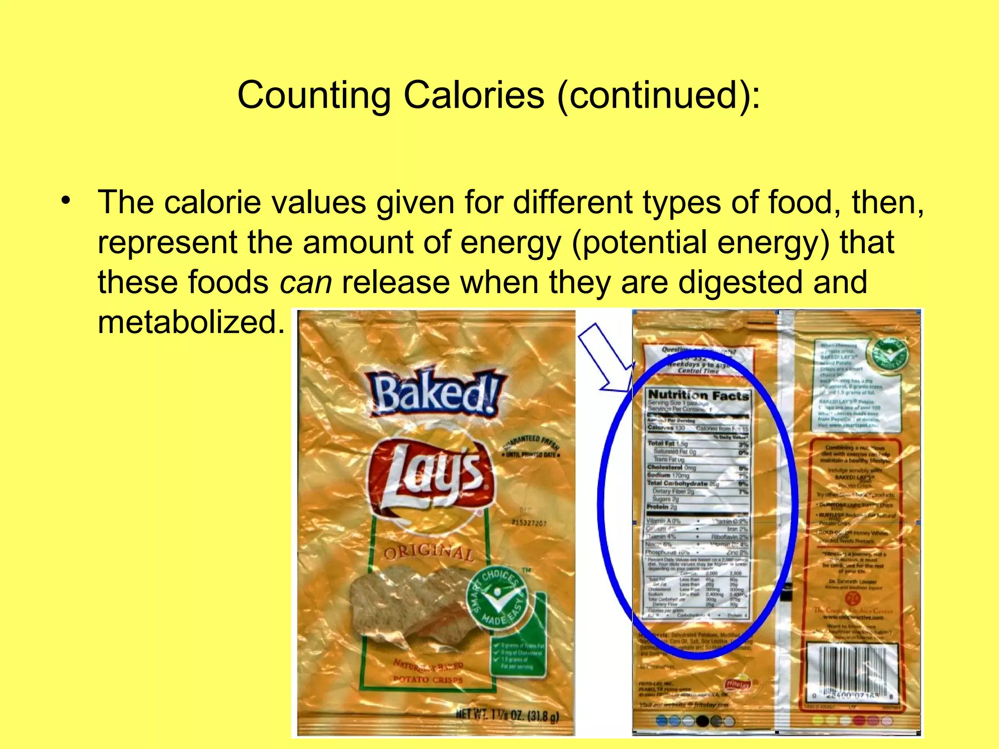 Counting Calories (continued):
• The calorie values given for different types of food, then,
represent the amount of energy (potential energy) that
these foods can release when they are digested and
metabolized.
 