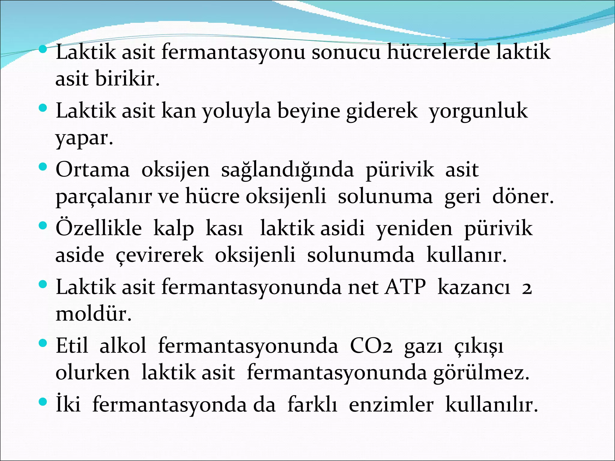  Laktik asit fermantasyonu sonucu hücrelerde laktik
    asit birikir.
   Laktik asit kan yoluyla beyine giderek yorgunluk
    yapar.
   Ortama oksijen sağlandığında pürivik asit
    parçalanır ve hücre oksijenli solunuma geri döner.
   Özellikle kalp kası laktik asidi yeniden pürivik
    aside çevirerek oksijenli solunumda kullanır.
   Laktik asit fermantasyonunda net ATP kazancı 2
    moldür.
   Etil alkol fermantasyonunda CO2 gazı çıkışı
    olurken laktik asit fermantasyonunda görülmez.
   İki fermantasyonda da farklı enzimler kullanılır.
 