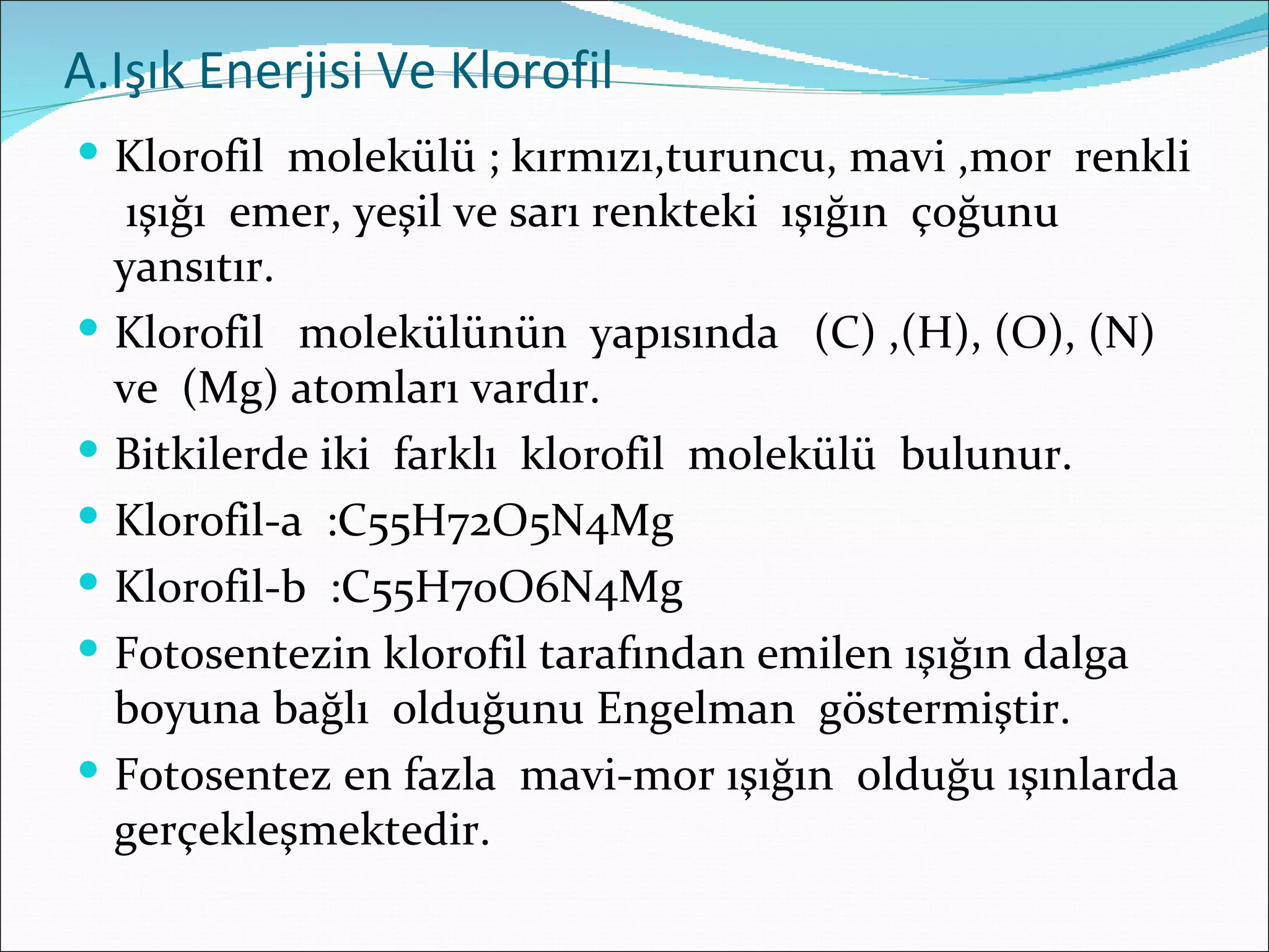A.Işık Enerjisi Ve Klorofil
 Klorofil molekülü ; kırmızı,turuncu, mavi ,mor renkli
     ışığı emer, yeşil ve sarı renkteki ışığın çoğunu
    yansıtır.
   Klorofil molekülünün yapısında (C) ,(H), (O), (N)
    ve (Mg) atomları vardır.
   Bitkilerde iki farklı klorofil molekülü bulunur.
   Klorofil-a :C55H72O5N4Mg
   Klorofil-b :C55H70O6N4Mg
   Fotosentezin klorofil tarafından emilen ışığın dalga
    boyuna bağlı olduğunu Engelman göstermiştir.
   Fotosentez en fazla mavi-mor ışığın olduğu ışınlarda
    gerçekleşmektedir.
 