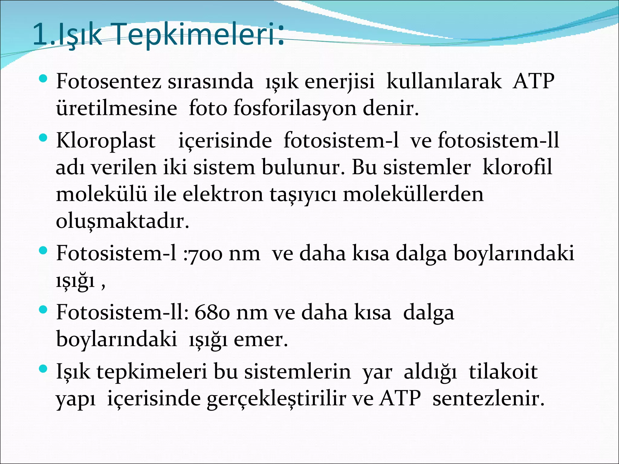 1.Işık Tepkimeleri:
 Fotosentez sırasında ışık enerjisi kullanılarak ATP
    üretilmesine foto fosforilasyon denir.
   Kloroplast içerisinde fotosistem-l ve fotosistem-ll
    adı verilen iki sistem bulunur. Bu sistemler klorofil
    molekülü ile elektron taşıyıcı moleküllerden
    oluşmaktadır.
   Fotosistem-l :700 nm ve daha kısa dalga boylarındaki
    ışığı ,
   Fotosistem-ll: 680 nm ve daha kısa dalga
    boylarındaki ışığı emer.
   Işık tepkimeleri bu sistemlerin yar aldığı tilakoit
    yapı içerisinde gerçekleştirilir ve ATP sentezlenir.
 
