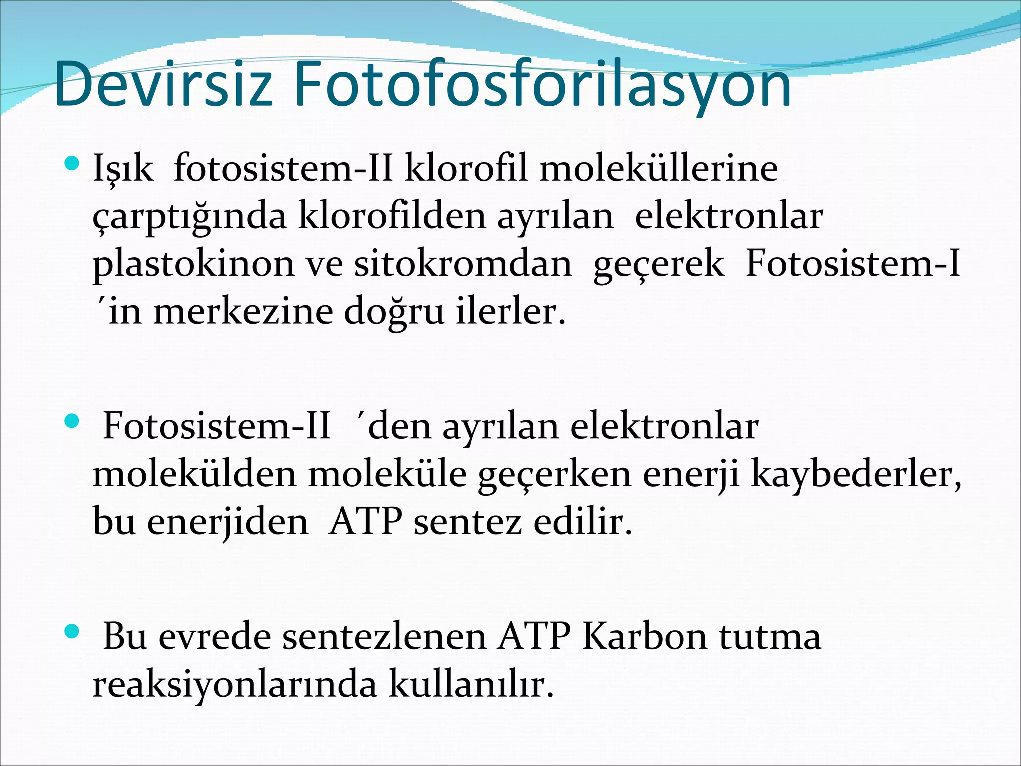 Devirsiz Fotofosforilasyon
 Işık fotosistem-II klorofil moleküllerine
 çarptığında klorofilden ayrılan elektronlar
 plastokinon ve sitokromdan geçerek Fotosistem-I
 ´in merkezine doğru ilerler.

 Fotosistem-II ´den ayrılan elektronlar
 molekülden moleküle geçerken enerji kaybederler,
 bu enerjiden ATP sentez edilir.

 Bu evrede sentezlenen ATP Karbon tutma
 reaksiyonlarında kullanılır.
 