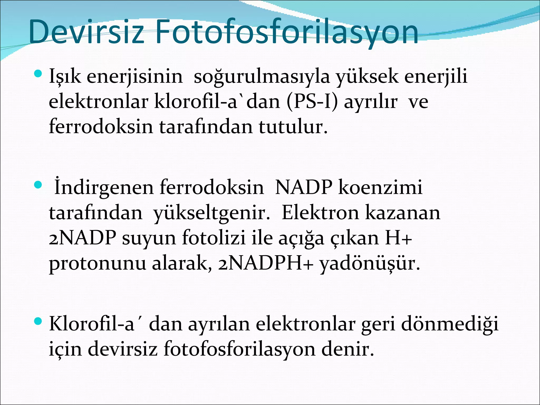 Devirsiz Fotofosforilasyon
 Işık enerjisinin soğurulmasıyla yüksek enerjili
 elektronlar klorofil-a`dan (PS-I) ayrılır ve
 ferrodoksin tarafından tutulur.

 İndirgenen ferrodoksin NADP koenzimi
 tarafından yükseltgenir. Elektron kazanan
 2NADP suyun fotolizi ile açığa çıkan H+
 protonunu alarak, 2NADPH+ yadönüşür.

 Klorofil-a´ dan ayrılan elektronlar geri dönmediği
 için devirsiz fotofosforilasyon denir.
 