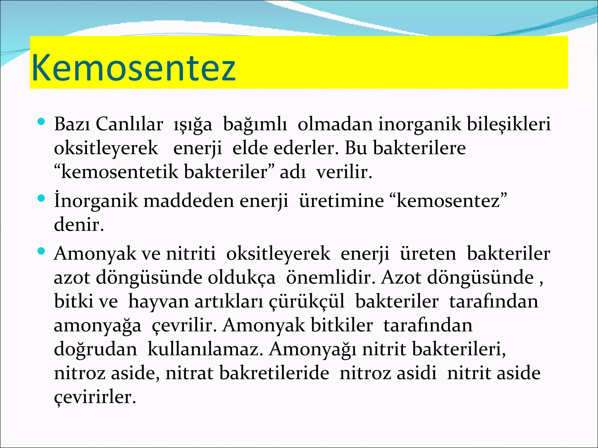 Kemosentez
 Bazı Canlılar ışığa bağımlı olmadan inorganik bileşikleri
  oksitleyerek enerji elde ederler. Bu bakterilere
  “kemosentetik bakteriler” adı verilir.
 İnorganik maddeden enerji üretimine “kemosentez”
  denir.
 Amonyak ve nitriti oksitleyerek enerji üreten bakteriler
  azot döngüsünde oldukça önemlidir. Azot döngüsünde ,
  bitki ve hayvan artıkları çürükçül bakteriler tarafından
  amonyağa çevrilir. Amonyak bitkiler tarafından
  doğrudan kullanılamaz. Amonyağı nitrit bakterileri,
  nitroz aside, nitrat bakretileride nitroz asidi nitrit aside
  çevirirler.
 