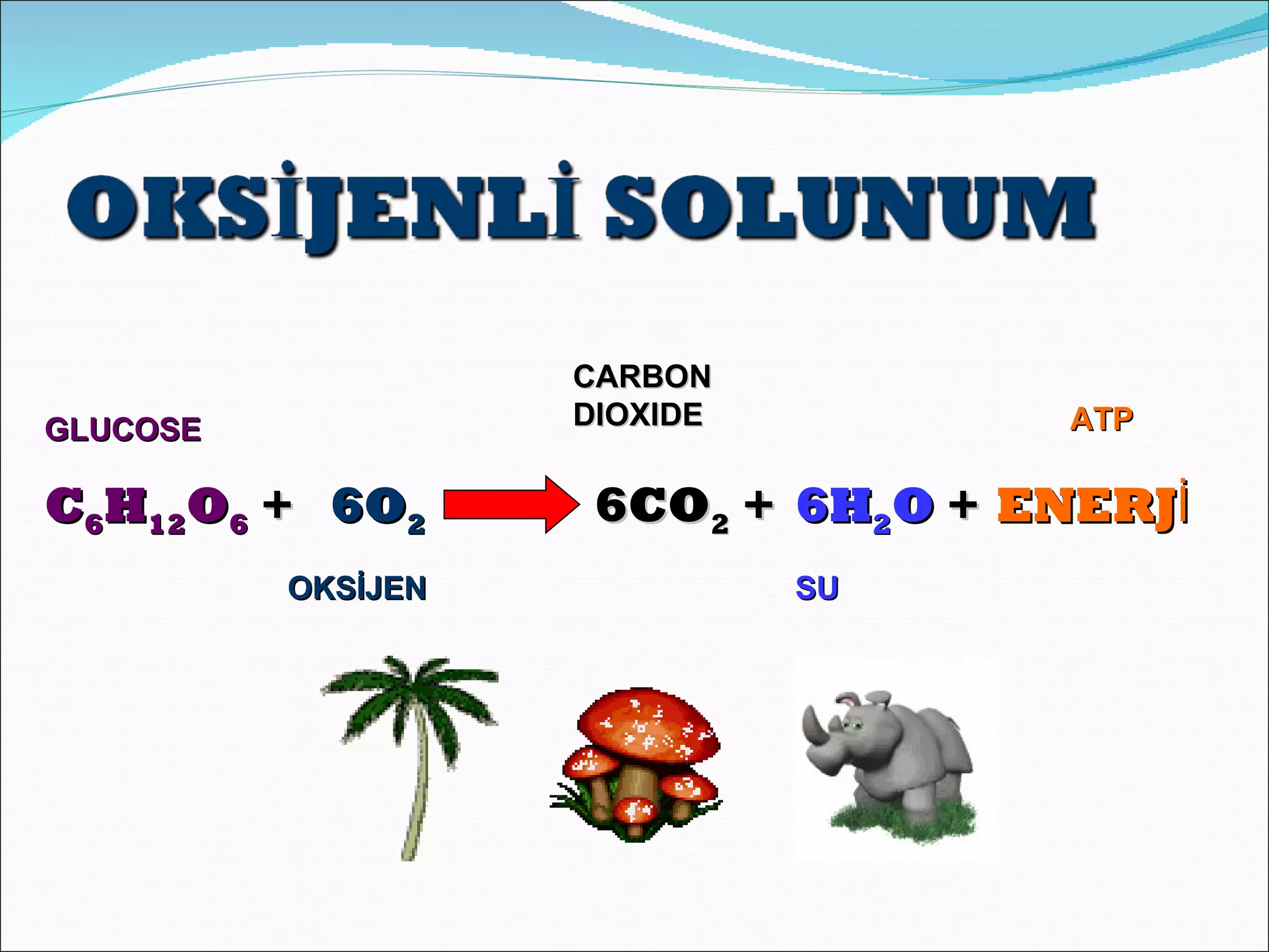 CARBON
GLUCOSE             DIOXIDE         ATP

C6H12O6 + 6O2        6CO2 + 6H2O + ENERJİ
          OKSİJEN             SU
 