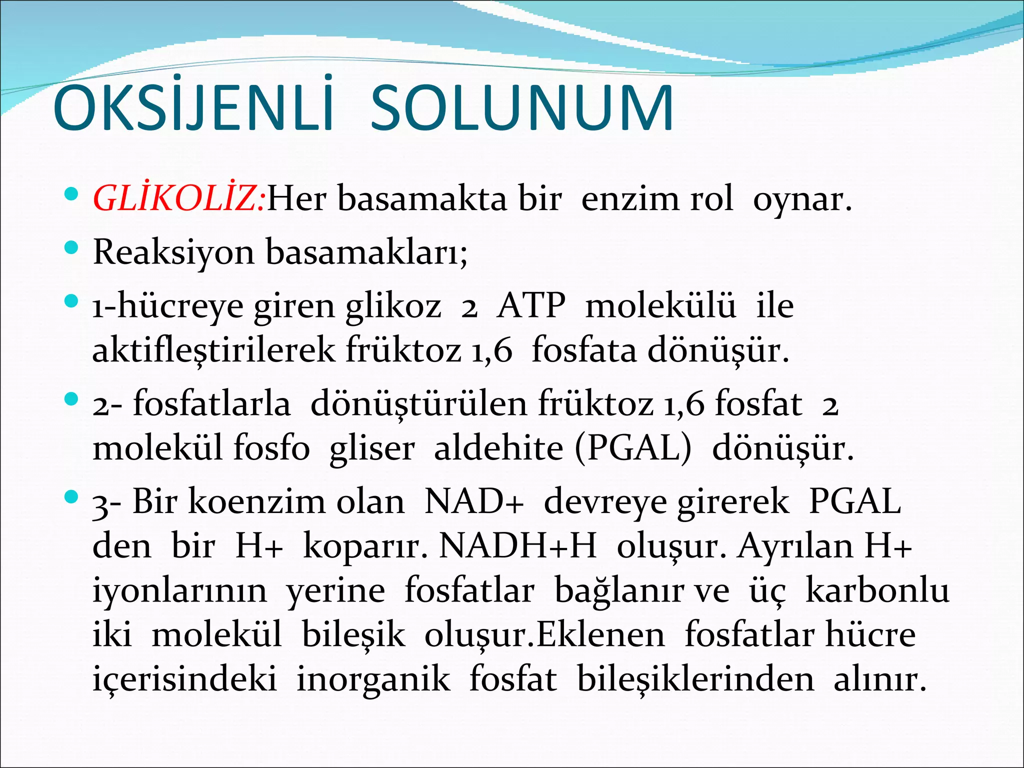 OKSİJENLİ SOLUNUM
 GLİKOLİZ:Her basamakta bir enzim rol oynar.
 Reaksiyon basamakları;
 1-hücreye giren glikoz 2 ATP molekülü ile
  aktifleştirilerek früktoz 1,6 fosfata dönüşür.
 2- fosfatlarla dönüştürülen früktoz 1,6 fosfat 2
  molekül fosfo gliser aldehite (PGAL) dönüşür.
 3- Bir koenzim olan NAD+ devreye girerek PGAL
  den bir H+ koparır. NADH+H oluşur. Ayrılan H+
  iyonlarının yerine fosfatlar bağlanır ve üç karbonlu
  iki molekül bileşik oluşur.Eklenen fosfatlar hücre
  içerisindeki inorganik fosfat bileşiklerinden alınır.
 