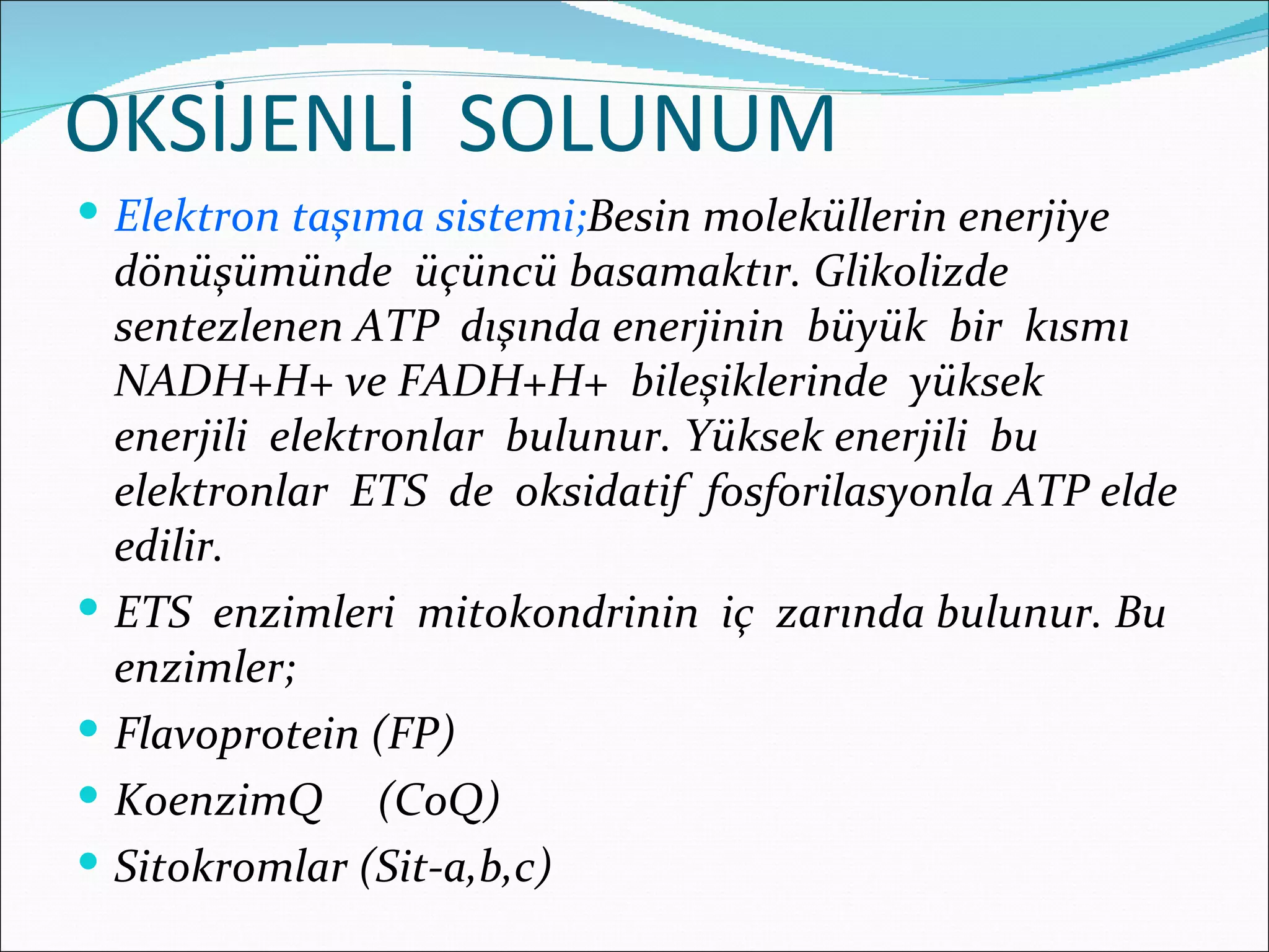 OKSİJENLİ SOLUNUM
 Elektron taşıma sistemi;Besin moleküllerin enerjiye
    dönüşümünde üçüncü basamaktır. Glikolizde
    sentezlenen ATP dışında enerjinin büyük bir kısmı
    NADH+H+ ve FADH+H+ bileşiklerinde yüksek
    enerjili elektronlar bulunur. Yüksek enerjili bu
    elektronlar ETS de oksidatif fosforilasyonla ATP elde
    edilir.
   ETS enzimleri mitokondrinin iç zarında bulunur. Bu
    enzimler;
   Flavoprotein (FP)
   KoenzimQ (CoQ)
   Sitokromlar (Sit-a,b,c)
 