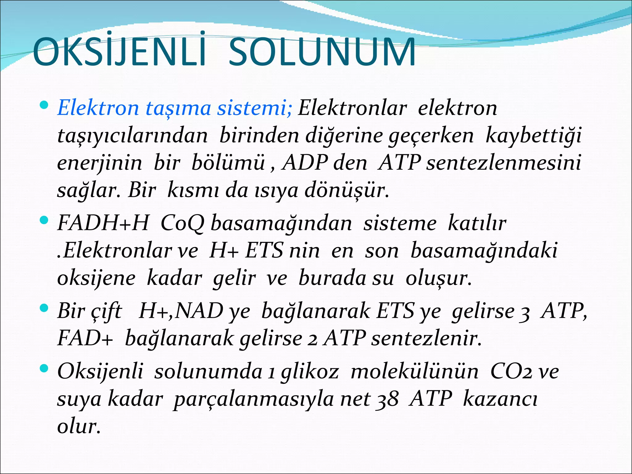 OKSİJENLİ SOLUNUM
 Elektron taşıma sistemi; Elektronlar elektron
  taşıyıcılarından birinden diğerine geçerken kaybettiği
  enerjinin bir bölümü , ADP den ATP sentezlenmesini
  sağlar. Bir kısmı da ısıya dönüşür.
 FADH+H CoQ basamağından sisteme katılır
  .Elektronlar ve H+ ETS nin en son basamağındaki
  oksijene kadar gelir ve burada su oluşur.
 Bir çift H+,NAD ye bağlanarak ETS ye gelirse 3 ATP,
  FAD+ bağlanarak gelirse 2 ATP sentezlenir.
 Oksijenli solunumda 1 glikoz molekülünün CO2 ve
  suya kadar parçalanmasıyla net 38 ATP kazancı
  olur.
 