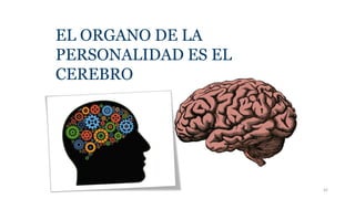 EL ORGANO DE LA
PERSONALIDAD ES EL
CEREBRO
42
 