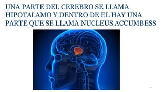 UNA PARTE DEL CEREBRO SE LLAMA
HIPOTALAMO Y DENTRO DE EL HAY UNA
PARTE QUE SE LLAMA NUCLEUS ACCUMBESS
45
 