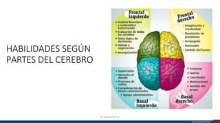 HABILIDADES SEGÚN
PARTES DEL CEREBRO
BY EDLM AGO 22
Universidad de Piura
 