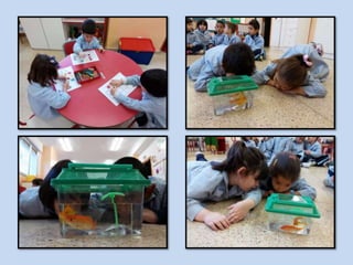 Enero 2016 2º infantil