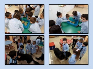 Enero 2016 2º infantil