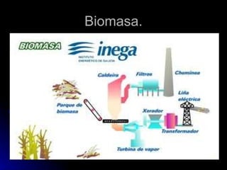 Biomasa. 
