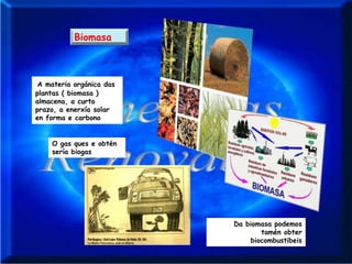 Biomasa



 A materia orgánica das
plantas ( biomasa )
almacena, a curto
prazo, a enerxía solar
en forma e carbono


    O gas ques e obtén
    sería biogas




                          Da biomasa podemos
                                 tamén obter
                              biocombustibeis
 