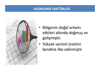 EKONOMİK FAKTÖRLER 
• Bölgenin doğal ortamı 
etkileri altında doğmuş ve 
gelişmiştir. 
• Yüksek verimli üretimi 
kendine ilke edinmiştir 
 