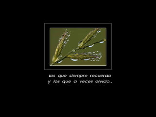 y los que a veces olvido.. los que siempre recuerdo 