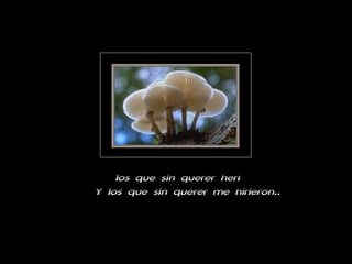 los que sin querer herí Y los que sin querer me hirieron.. 