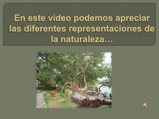 En este vídeo podemos apreciar las diferentes representaciones de la naturaleza… 
